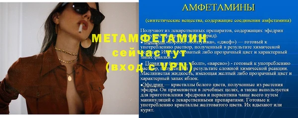 сатива Арсеньев