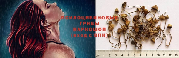 сатива Арсеньев