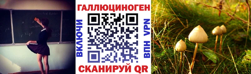 Псилоцибиновые грибы мицелий  Починок 