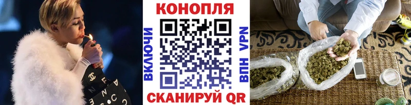 Бошки Шишки гибрид  ОМГ ОМГ tor  Починок 